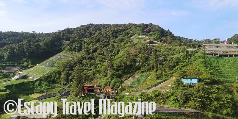 Copthorne Cameron Highlands, Copthorne, Copthorne hotel, Cameron Highlands, cameron highlands pahang, what to do in cameron highlands, what to do in pahang, tourism pahang, places to visit in cameron highlands, cameron highlands fun things to do, 7 wonders of Copthorne