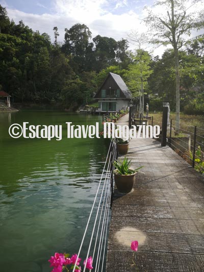 mantin, where to stay in Selangor, what to do in Malaysia, what to do in negeri Sembilan, nature resorts in Malaysia, Malaysia nature, escapy travel magazine, Malaysia travel magazine, travel magazine asia, Mantin Forest Art Farm Stay