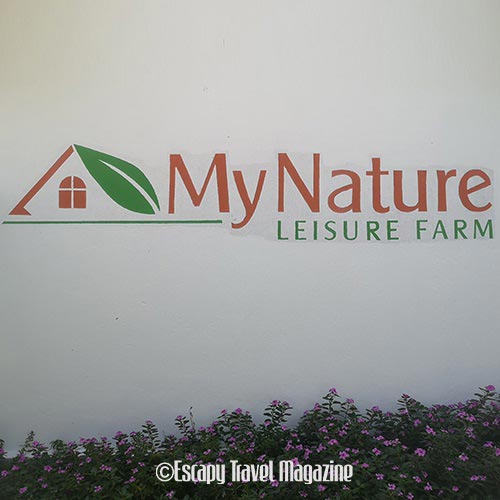 my nature leisure farm, my nature farm, leisure farm, my nature leisure farm, things to do in sepang, things to do in Selangor, nature tourism, eco tourism, places to see in Malaysia, where to stay in sepang, recommended places to stay in sepang