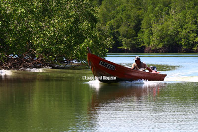 Sirip Biru Sepang, sisip biru jetty, jeti sirip biru sepang, river cruise Selangor, things to do in Selangor, things to do in sepang, adventures in Selangor, adventures in sepang, Selangor adventures, sepang river cruise, fun things to do in Selangor, fun things to do in Sepang