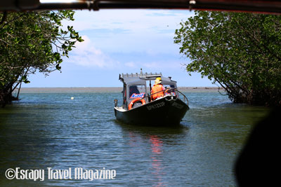 Sirip Biru Sepang, sisip biru jetty, jeti sirip biru sepang, river cruise Selangor, things to do in Selangor, things to do in sepang, adventures in Selangor, adventures in sepang, Selangor adventures, sepang river cruise, fun things to do in Selangor, fun things to do in Sepang