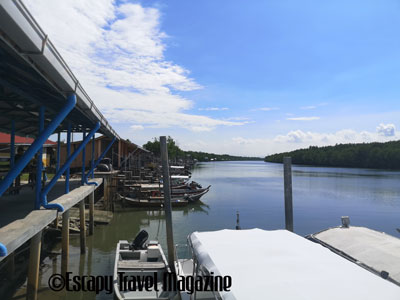 Sirip Biru Sepang, sisip biru jetty, jeti sirip biru sepang, river cruise Selangor, things to do in Selangor, things to do in sepang, adventures in Selangor, adventures in sepang, Selangor adventures, sepang river cruise, fun things to do in Selangor, fun things to do in Sepang