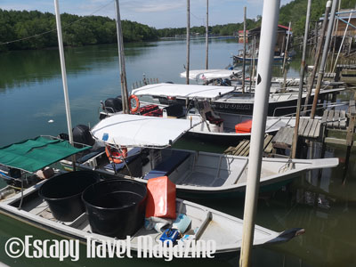 river cruise bagan lalang