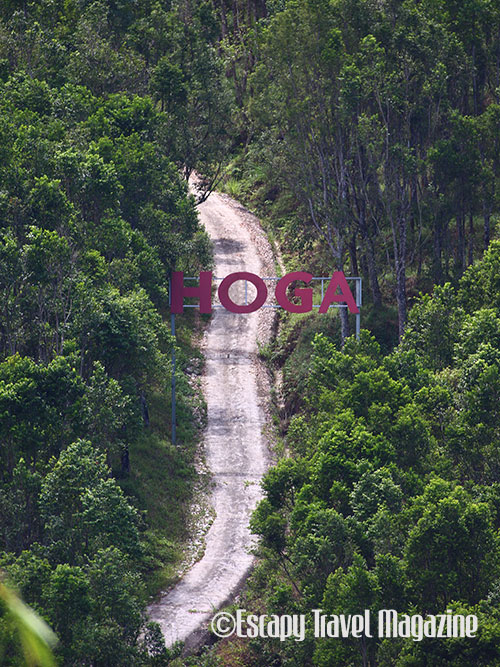 Hoga, Hoga plantation, Hoga tea plantation, Gaharu plantation, Gaharu trees, Gaharu trees gopeng, Gaharu trees perak, perak Gaharu, Hoga Gaharu tea plantation, Gaharu plantation in Malaysia, perak Malaysia, what to do in perak, what to do in Malaysia, perak places of interest, perak places, hoga Gaharu tea valley, perak tea valley, Gaharu tea valley, gopeng tea valley