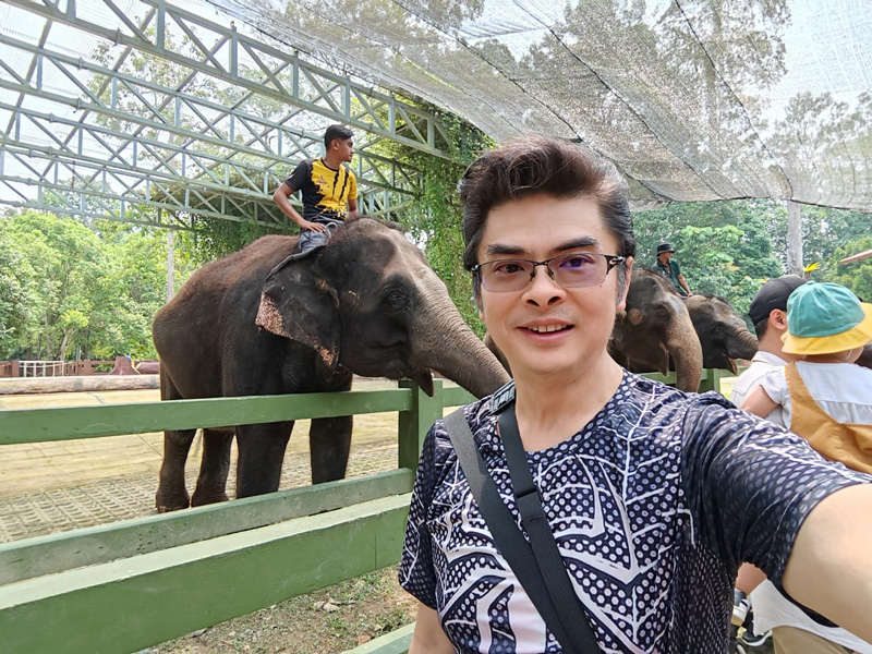 Elephant sanctuary, kuala gandah elephant sanctuary, things to do in Malaysia, things to do in Pahang, things to do in Pahang Malaysia, fun things to do in Pahang, must do in Pahang, must visit in Malaysia, elephant sanctuary in Pahang, places to visit in Malaysia, Malaysia elephants, Asian elephants