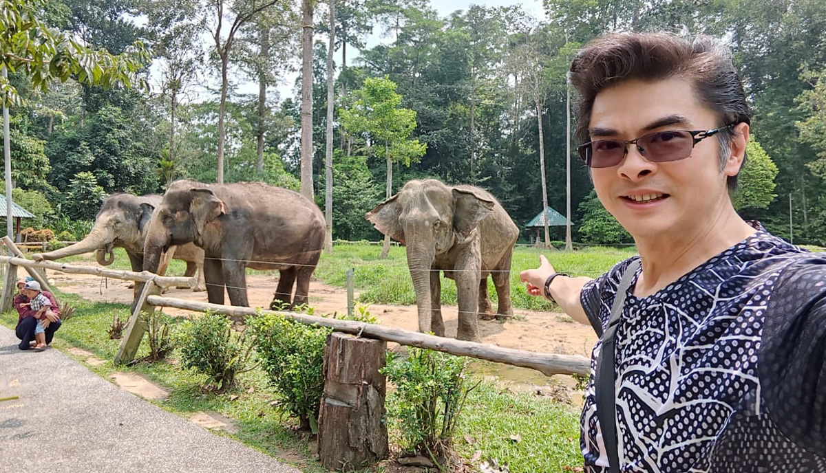 Elephant sanctuary, kuala gandah elephant sanctuary, things to do in Malaysia, things to do in Pahang, things to do in Pahang Malaysia, fun things to do in Pahang, must do in Pahang, must visit in Malaysia, elephant sanctuary in Pahang, places to visit in Malaysia, Malaysia elephants, Asian elephants