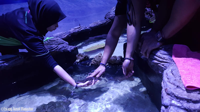 what to do in Malacca, things to do in Melaka, visiting melaka, must do in Melaka, visit Melaka, fun things to do in Melaka, fun things in Melaka, the shore, the shore Melaka, the shore oceanarium, oceanarium Melaka, the shore Melaka oceanarium,