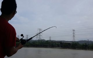 1fishingjojn