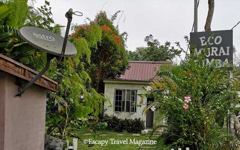 Escapy Travel, Escapy Travel Magazine, escapy travel magazine, escapy, escapy travel, Escapy Travel Pockezine, Pockezine, pockezine, pockezines, escapy travel pockezine, escapy pockezine, eco resort, where to stay in Selangor, nature resort in Selangor, nature resort Selangor, Eco Murai Rimba, back to nature in Selangor, where to stay in Selangor, Selangor nature resorts, streams and rivers Selangor, fun things in selangor, recommended places to stay in Selangor, fun in Selangor, nature resorts,