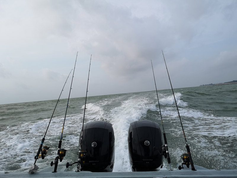 Things to do in Malaysia, fishing in Malaysia, fishing in Pahang, Fishing in Pekan, fishing for squid, squid fishing, squid fishing in Malaysia, squids in Malaysia, squid jigging in Malaysia, squid fishing in Pekan, squids in Pekan, sotong mengambang, sotong di pekan, memancing sotong di Pekan, squiding in Malaysia, where to fish in Malaysia, where to fish in Pahang, where to fish in Asia, fishing squids in Asia, fishing in Asia, fishing squids in Malaysia, things to do in Malaysia, things to do in Pahang, things to do in Asia, visiting Asia, adventure in Malaysia, adventure in Asia, Adventure in Pahang,