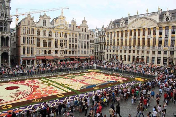 Brussels-flower-carpet