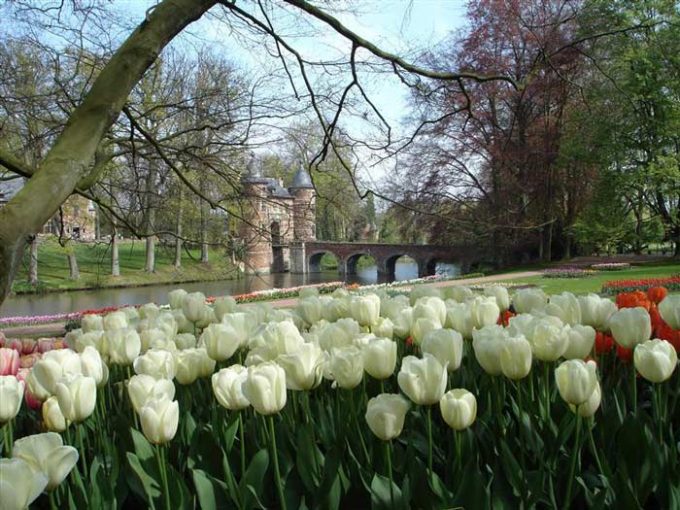 Floralia-Brussels-Chateau-de-Grand-Bigard-1-credit-VisitFlanders